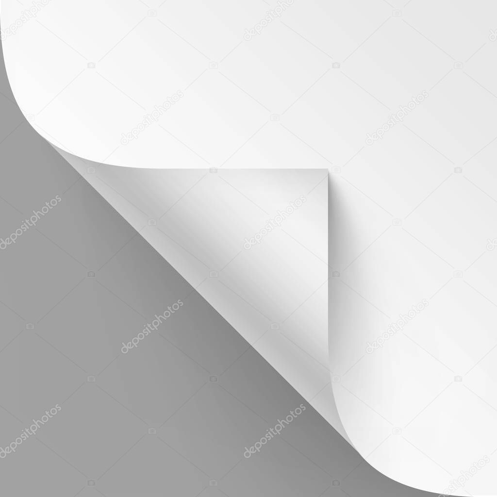 Vector Curled corner of White paper with shadow Mock up Close up Isolated on Gray Background