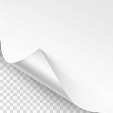 Vektör Curled köşede şeffaf arka plan ile gölge sahte Isolated kadar yakından beyaz kağıt