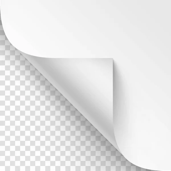 Vector Curled corner of White paper with shadow Mock up Close up Isolado no fundo transparente — Vetor de Stock