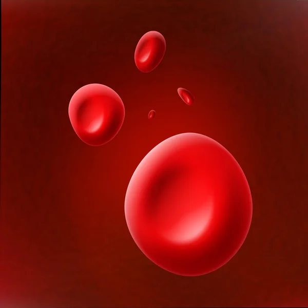 Glóbulos rojos — Vector de stock