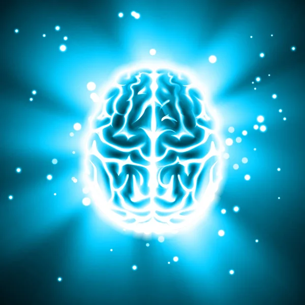 Glowing human brain — Stock Vector