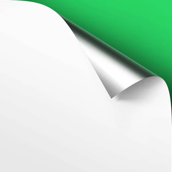Vector rizado metálico esquina de plata de papel blanco con sombra Mock up Close up Aislado sobre fondo verde — Vector de stock