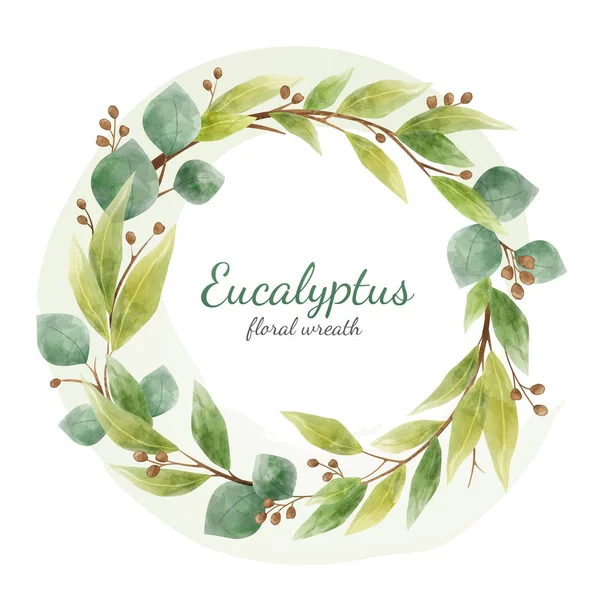 Vector eucalyptus floral branches and leaves round wreath. Cards design element isolated on white. Watercolor style — Stock Vector