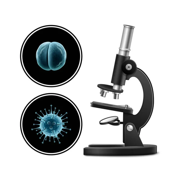 Mikroskop dengan gambar vektor bakteri diisolasi pada latar belakang putih. Virus mikroskop mendekat. Penelitian klinis. - Stok Vektor