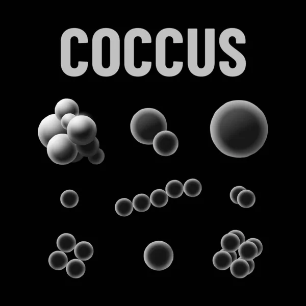 Tipos de bactérias Coccus ilustração vetorial monocromática em fundo preto. Conceito de vírus Ilustrações De Stock Royalty-Free