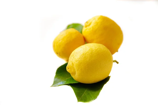 Fresh bio lemons isolated on white background — 스톡 사진