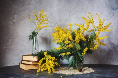 Mimoza çiçekleriyle hayat, kavramsal stil, sanatsal noi