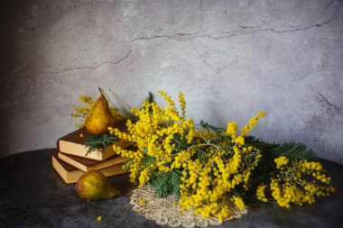 Mimoza çiçekleriyle hayat, kavramsal stil, sanatsal noi