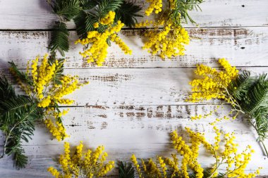 Bahar mimoza çiçekleri, buketi kapatın.