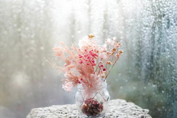 Macro shot de flores pastel con gotas de rocío. Enfoque suave . —  Fotos de Stock