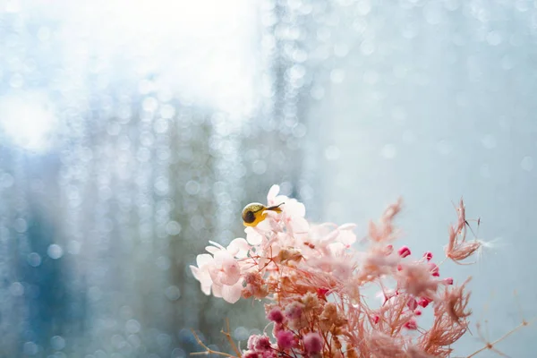 М'які макрознімки фокусу з маленьким равликом на квітах. Пастельна кооперація — стокове фото