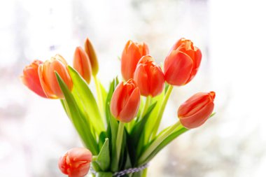 Pencere kenarında turuncu laleler. Yakın çekim..