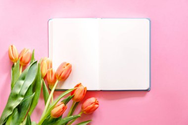 Pembe arka planda turuncu laleler olan bahar dairesi. İlan için boşluk kopyala.