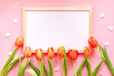 Pembe arka planda turuncu laleler olan bahar dairesi. İlan için boşluk kopyala.