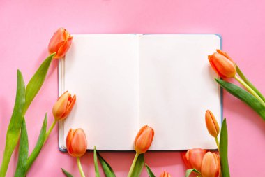 Pembe arka planda turuncu laleler olan bahar dairesi. İlan için boşluk kopyala.