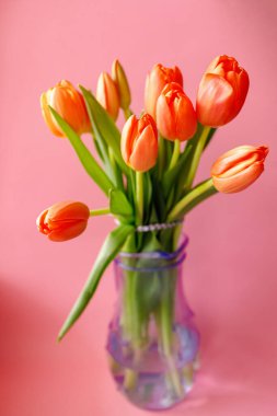 Açık pembe arka planda renkli turuncu laleler. Anneler günü hediyesi..