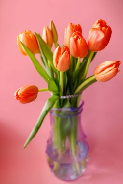 Açık pembe arka planda renkli turuncu laleler. Anneler günü hediyesi..