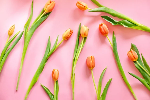 Tulipanes Color Naranja Sobre Fondo Rosa Claro Regalo Del Día — Foto de Stock