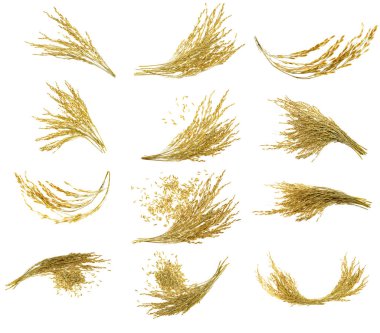 İzole edilmiş beyaz arka planda Yapışkan çeltik pirinç koleksiyonu