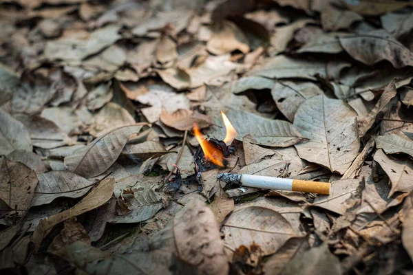 Cerca Colilla Cigarrillo Fumado Descuidadamente Son Arrojados Hierba Seca Suelo —  Fotos de Stock