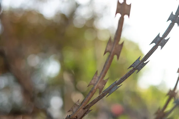 Close Fence Barbed Wire Blurred Background — Stock Photo, Image