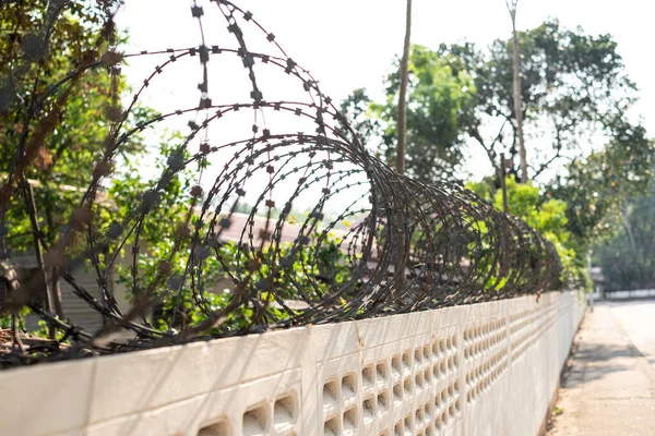 Close Fence Barbed Wire Blurred Background — Stock Photo, Image