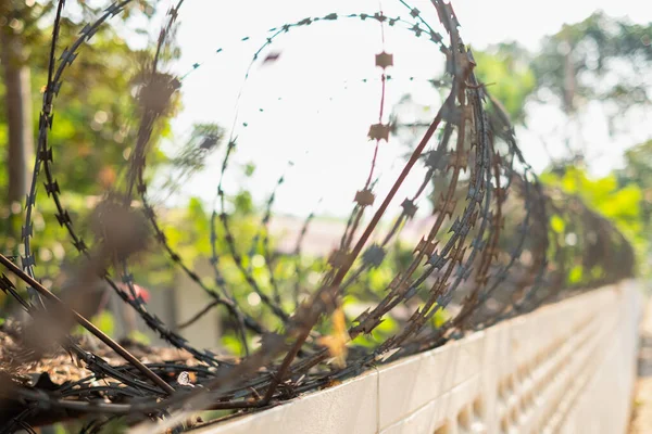 Close Fence Barbed Wire Blurred Background — Stock Photo, Image