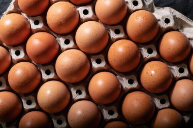 Tavuk yumurtalı yumurta kutusu siyah arka planda sıralanmış.