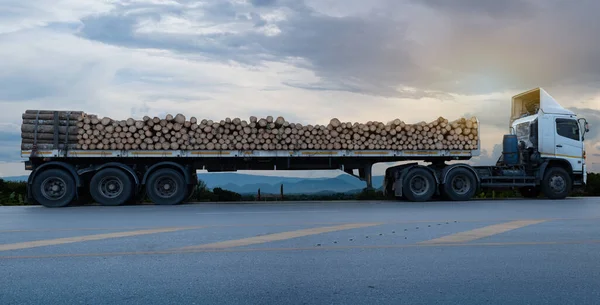 Loaded timber white trucks arriving and park on the asphalt road in a rural landscape at mountain and cloud background, The concept of transportation of logs wood