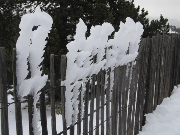 Lód uformowany na ogrodzeniu przy silnym wietrze oraz zimnej i wysokiej wilgotności — Zdjęcie stockowe
