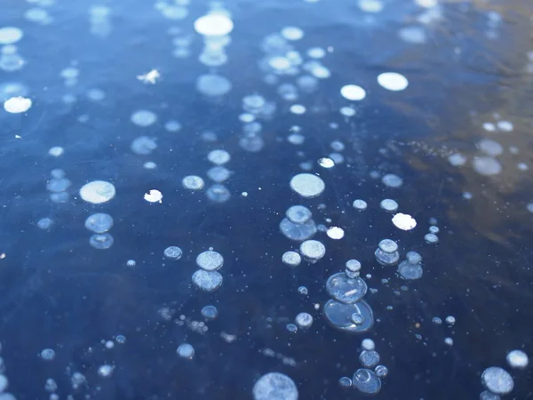 Primer plano de un lago congelado, burbujas de aire congeladas en el hielo, ideal para fondos de invierno o para dar a su diseño una sensación de frío —  Fotos de Stock