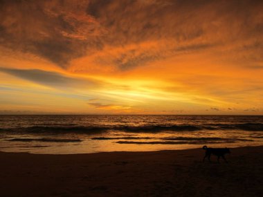 Tropik iklimlerde okyanusta gün batımı