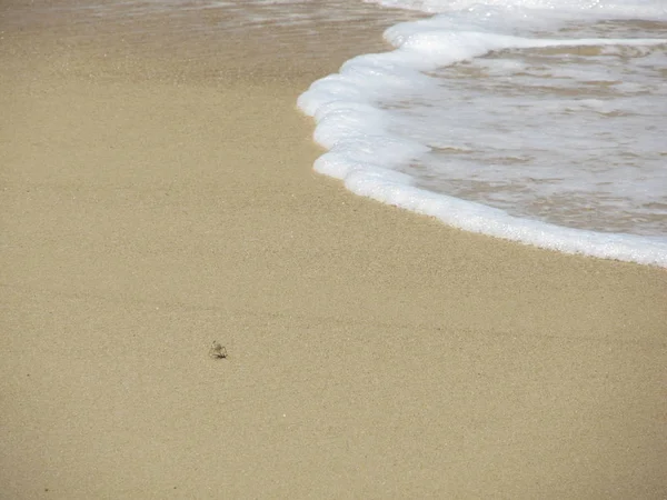 Crab running away from wave, Thailand, Phuket — Stock Photo, Image