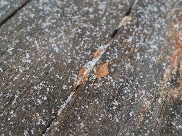 Nahaufnahme von Hagelkopf, Stollen in Holzbrett mit Holzmaserung — Stockfoto