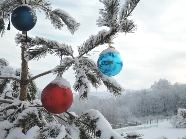 Ветви дерева украшены большими красочными воздушными шарами на улице зимой. — стоковое фото