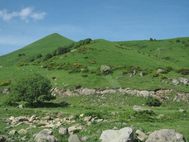 kayalık dağlar ve yeşil çim ente ve çalılar ile kaplı dağların manzarası ile güzel manzara.