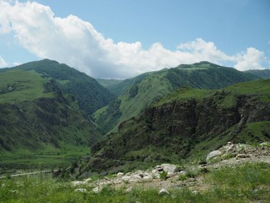 Güneşli bir yaz gününde ovanın içinden akan bir nehirle güzel bir dağ manzarası.