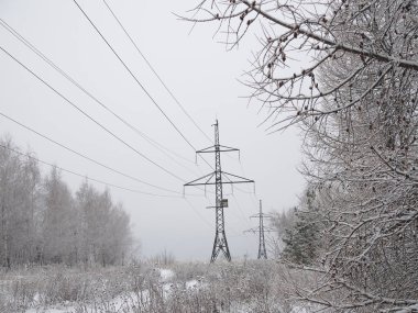 Kışın buz kristalleri ile elektrik hattı.