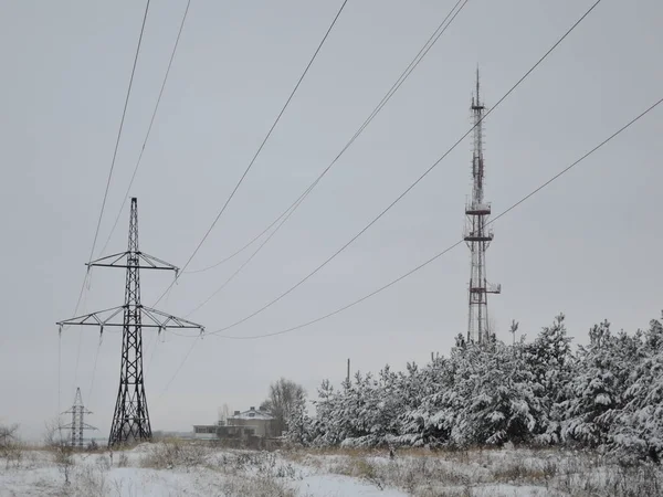 冬の霜結晶と電力線. — ストック写真