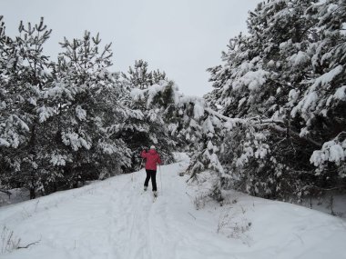 Bir kadın kış parkında kayak yapıyor..