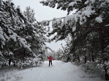 Bir kadın kış parkında kayak yapıyor..