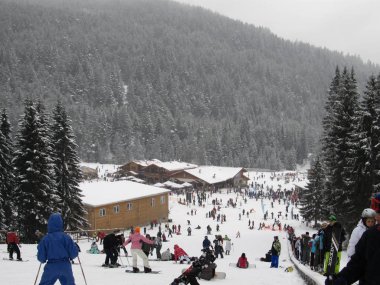Bansko, Bulgaristan - Ocak 2011: Dağ manzarası. Kayak merkezi, Bansko, Bulgaristan. Kayak pisti. İnsanlar kışın karda kayak yapar. Çam Ormanı