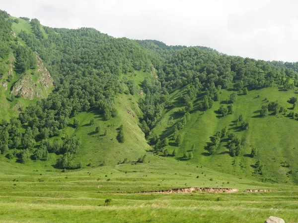 Paisagem alpina idílica de alta altitude no verão . — Fotografia de Stock