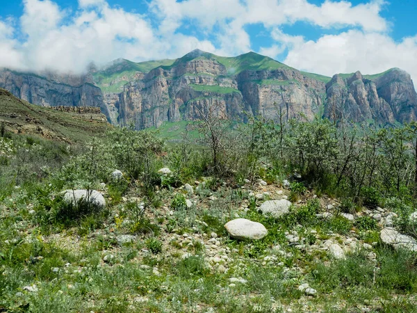 夏季Elbrus山景观景区. 免版税图库图片