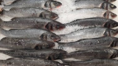 Alışveriş merkezinde buzda donmuş kırmızı balık parçaları.