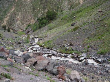 Bahar yüksek dağ dere