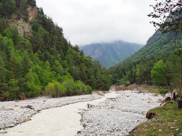 美丽的山景，茂密的针叶林岩石斜坡和山浅河 — 图库照片#