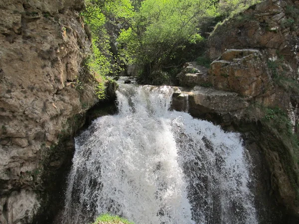 Vattenfall grön skog flod landskap på våren — Stockfoto