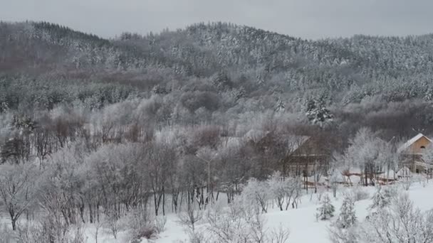 Zimní Krajina Zasněžené Pole Stromy Vesnici Zamračená Obloha Pozadí Střela — Stock video