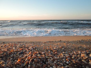 Deniz kenarında gün batımında güzel deniz kabuğu kumsalı